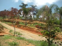 /album/fotos%20da%20casa%20de%20recupera%c3%a7%c3%a3o%2c%20internos%20e%20convidados%20/imagem-029-jpg/